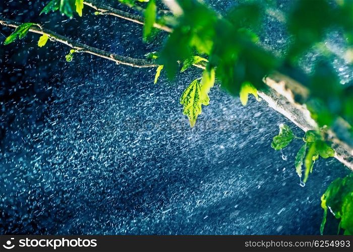 Closeup photo of great rain in the rain forest at night, &#xA;moonlight streaming through branches of trees, rain season in tropical country