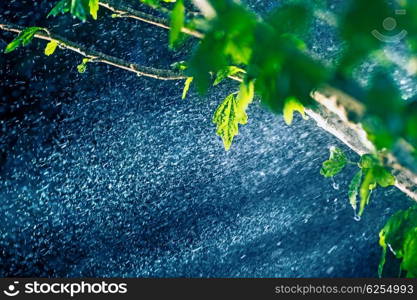 Closeup photo of great rain in the rain forest at night, &#xA;moonlight streaming through branches of trees, rain season in tropical country