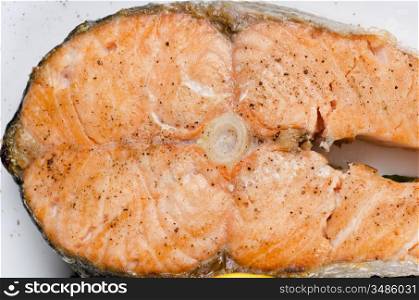 Closeup photo of grilled salmon fish - tasty dish