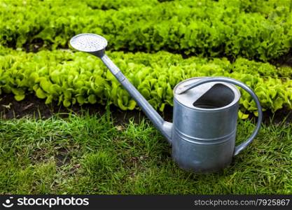 Closeup photo of metal watering can on grass at garden