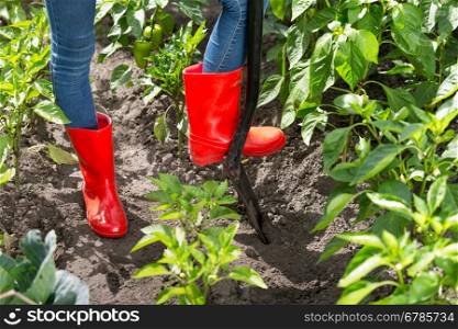 Closeup photo of person in red rubber boots digging soil in garden