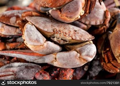 Closeup photo of pile of frozen black crabs