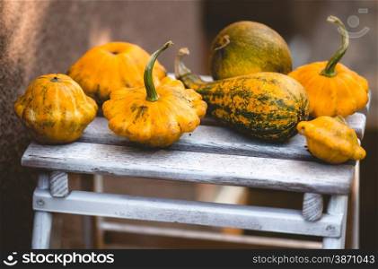 Closeup photo of small pumpkins lying on wooden board at yard