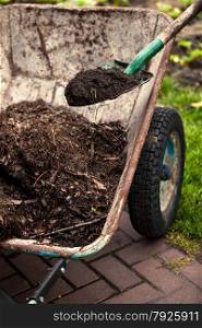 Closeup photo of spade putting soil in old wheelbarrow