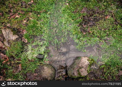 Closeup photo of stream flowing through grass