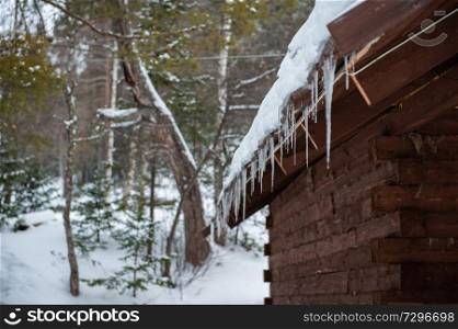 Closeup photo of the Icicles hang from the roof of wooden house. Closeup photo of the Icicles hang