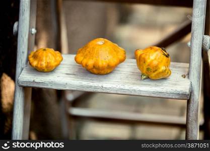 Closeup photo of three small pumpkins lying on wooden stairs