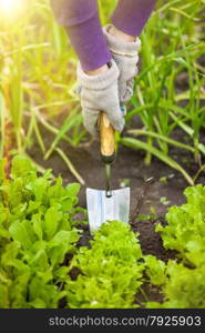 Closeup photo of woman digging with hand shovel at garden at sunny day