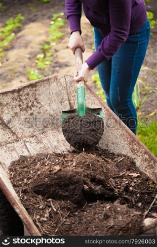Closeup photo of woman taking compost from wheelbarrow with shovel