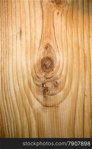 Closeup photo of wooden texture with circles