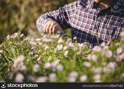 Closeup photo of young man pruning flowers at garden