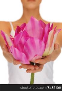 closeup picture of woman hands holding lotus flower.