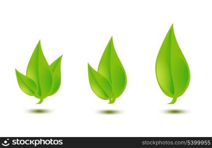closeup picture or illustration of green leaves