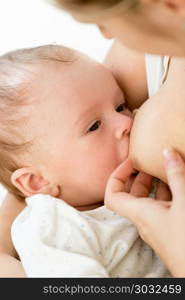 Closeup portrait of 3 months old baby boy eating milk from mothers breast. Portrait of 3 months old baby boy eating milk from mothers breast