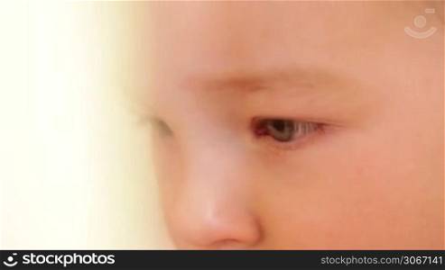 Closeup portrait of a boy.