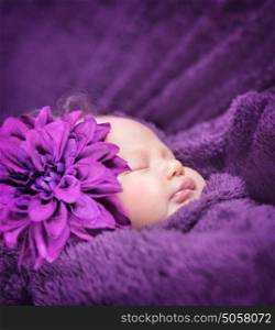 Closeup portrait of cute sleepy baby girl with stylish purple flower on head, lying down on bed covered in fluffy blanket, baby fashion concept