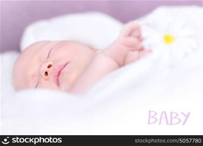 Closeup portrait of nice newborn baby napping, holding in hands daisy flower, soft focus, text space, relaxation and resting concept