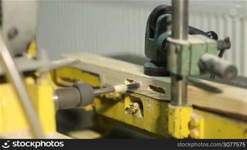 Closeup process of drilling wooden plank using electric bench drill in woodwork shop. Master drilling holes in board using industrial equipment in carpentry.