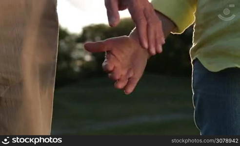 Closeup romantic senior couple in love holding hands against amazing landscape at sunset. Elderly couple expressing love, tenderness and care, holding hands in rays of setting sun outdoors.