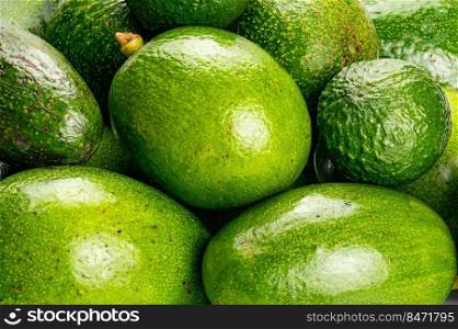 Closeup scene pile of green avocado on a table. Avocados or Avocado pear or Alligator Pear are cultivated in tropical and mediterranean climates of many country.