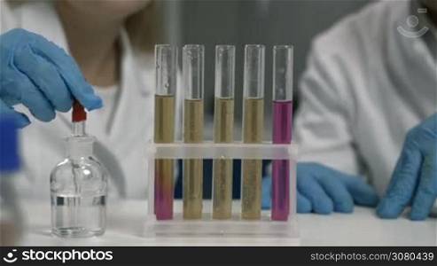 Closeup scientist hand with pipette dropping the reagent into test tube with liquid in chemical laboratory. Scientific researchers in protective gloves conducting an experiment in lab. Colorful test tubes with liquid in test tube rack on foreground.
