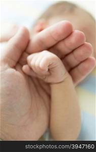 Closeup shot of father holding newborn baby hand. Image with soft focus