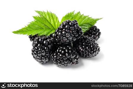 Closeup shot of fresh blackberries. Isolated on white background