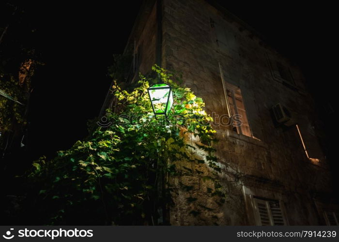 Closeup shot of glowing lantern hanging on wall with growing ivy