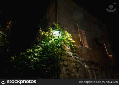 Closeup shot of glowing lantern hanging on wall with growing ivy
