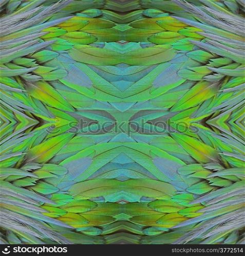 Closeup shot of Nicobar Pigeon feathers background abstract