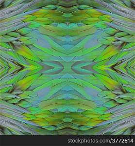 Closeup shot of Nicobar Pigeon feathers background abstract