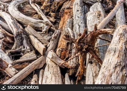 Closeup shot of piles of driftwood. Background or texture.