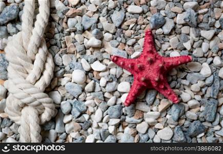 Closeup shot of red starfish and marine knot lying on colorful pebbles at sea