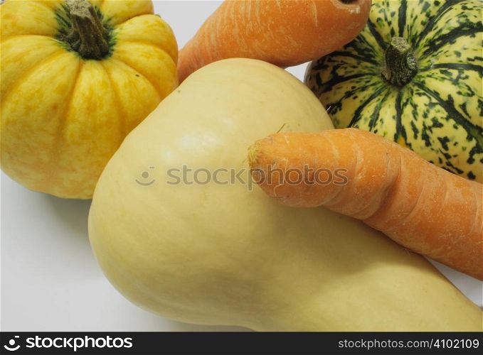 closeup shot of squashes and carrots against a light background
