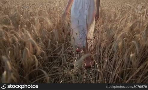 Closeup slim female legs stepping through golden wheat field in glow of sunset. Low angle view. Beautiful woman in summer dress walking in cereal field, hands touching wheat ears, she is enjoying freedom and happines on summer vacation. Slo mo.