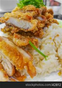 Closeup steamed fried chicken with rice, Focus dish