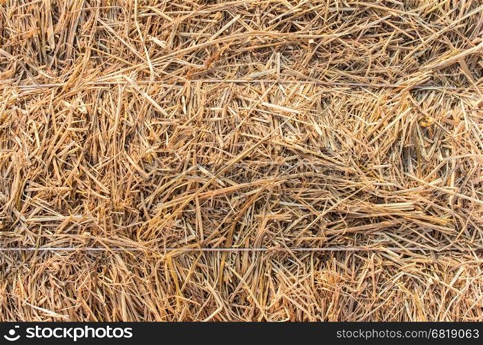 Closeup straw for farm texture for background