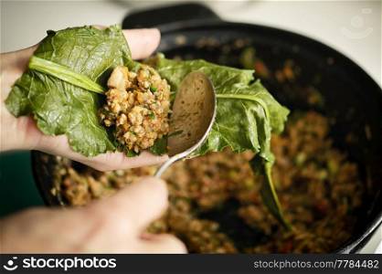 Closeup Stuffed Patience dock leaves with Beef, Rice And Vegetables