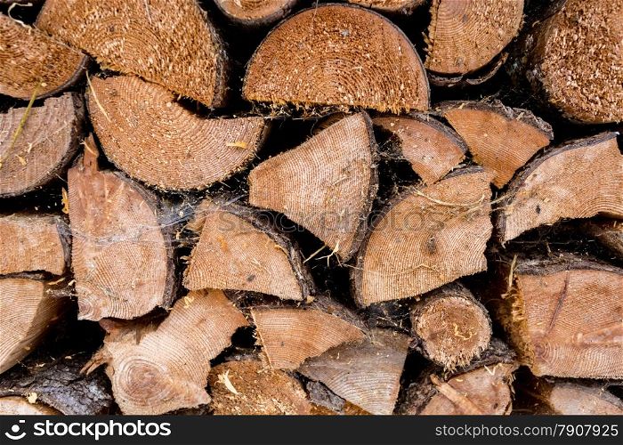 Closeup texture of chopped pine tree wood