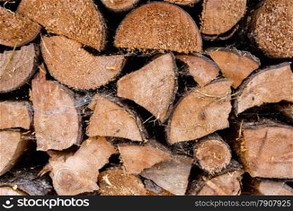 Closeup texture of chopped pine tree wood