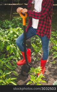 Closeup toned photo of young woman in red rubber boots digging soil in backyard garden. Closeup toned image of young woman in red rubber boots digging soil in backyard garden