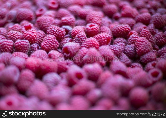Closeup view at fresh raspberries on the market
