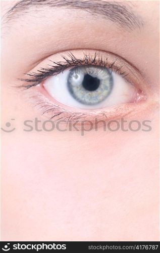 closeup view of a beautiful female eye