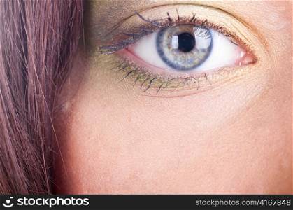 closeup view of a beautiful female eye with summer fashionable make-up