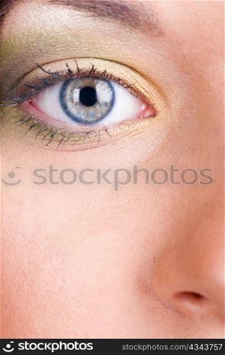 closeup view of a beautiful female eye with summer fashionable make-up