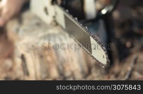 Closeup view of chainsaw blade standing on the stump and working