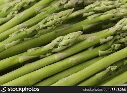 Closeup view of small asparagus spears