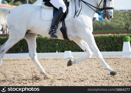 Closeups of a competition of dressage horses in Spain