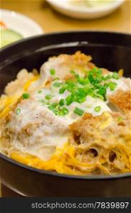 closse up pork cutlet and egg on rice Katsudon in bowl