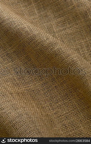 Cloth